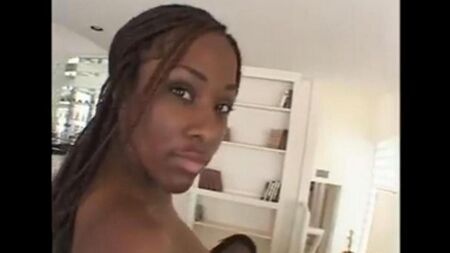 ペニスが黒人女性の膣に浸透します