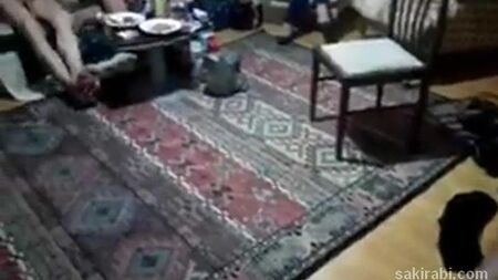 セックス動画を見る