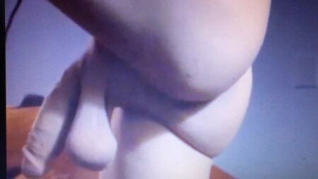 巨大で垂れ下がった萎えたペニスと、ぶっくらとした睾丸