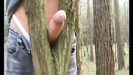 Treeが彼をイカせる.flv