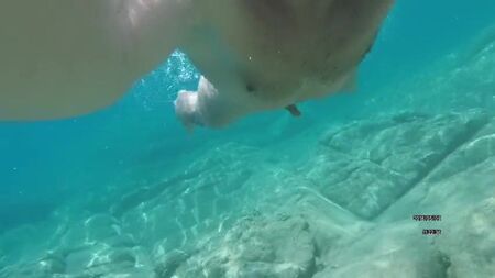 海で裸で泳ぐ。とても官能的だ