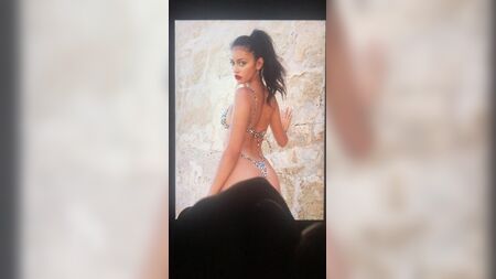 シンディ・キンバリー・カムのトリビュート