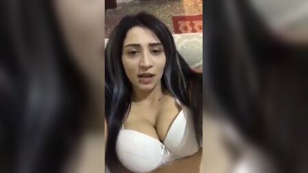 トルコのペリスコープ