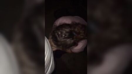 Dirtygirl614はチンポをしゃぶり、見知らぬ男と生でセックスする