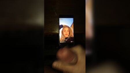 アンナ・シュメイトへのトリビュート