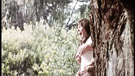 『サウス・オブ・ザ・ボーダー』（1976年、アメリカ、劇場版、DVDリッピング）