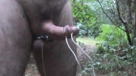 森の中で、ジューシーで滴るようなE-Stim