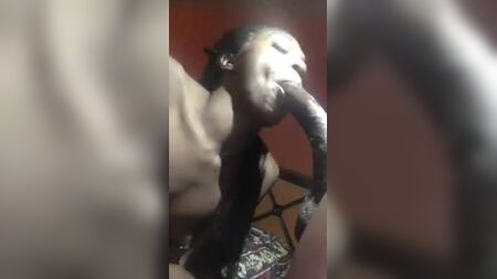 トランスジェンダーがサイズ12の黒人巨根を貪る