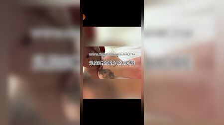 「Ts Safari Star」コンピレーション