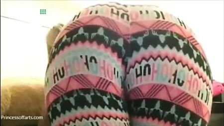 セレーナ・ロカのおなら集