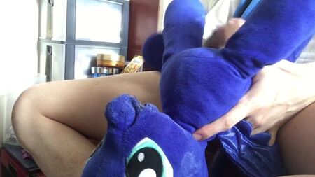 私のぬいぐるみのポニー、ルナ