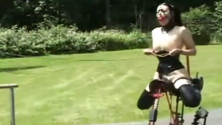 ポニーのペア