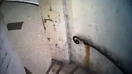 コテージでの滞在
