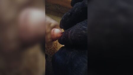 黒いフェイクファーのコートに精液をかける