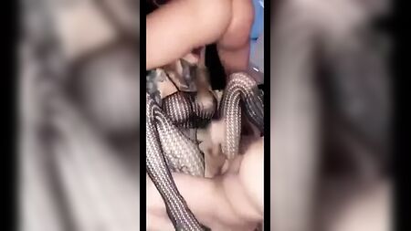エクセターのニューハーフ