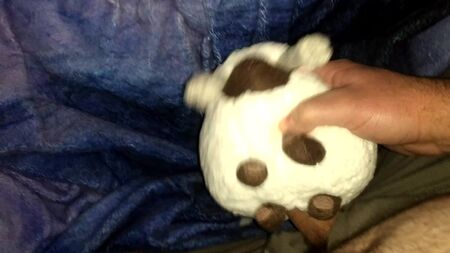ポケモン・ウーロのぬいぐるみとセックス