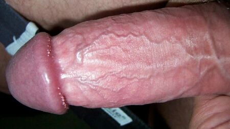 私のペニスの写真