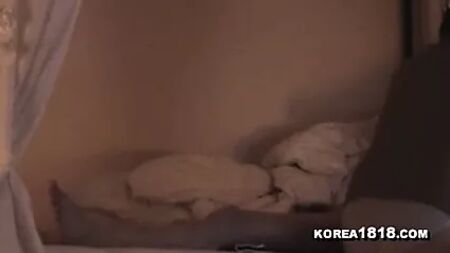 ホットな韓国人の元カノによるリベンジポルノ