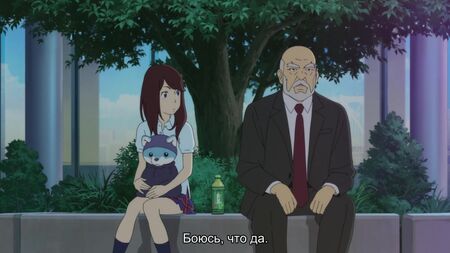 anime.webm ひるね姫