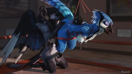 ruaidriによる3D Yiff ファーリーポルノ セックス E621 女性 鳥 ボンデージ BDSM
