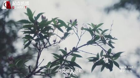 Qidian Media XSJ 007 『眠れる森の美女。ワルワル王子とプリンセスの恋』
