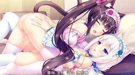 18禁エロ漫画『ネコパラ』第1巻