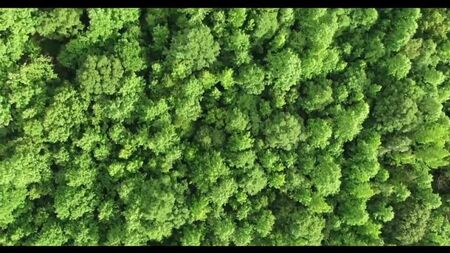 Video by オーディオ・ストーリー。浮気の話。実話