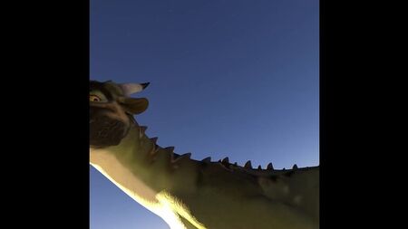 ドラゴン・ヴォア POV フルツアー