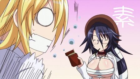 八ツラの美しさ