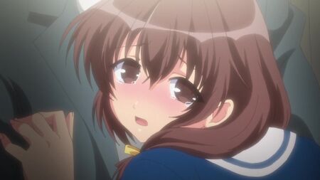 『レイプ合法化法』第01条*1　いつでもどこでもレイプ [18禁 オンライン エロアニメ]