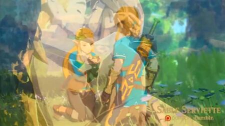 [ゼルダの伝説] サンドタオル