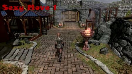 Skyrim MOD 特集 - FNIS Sexy Move