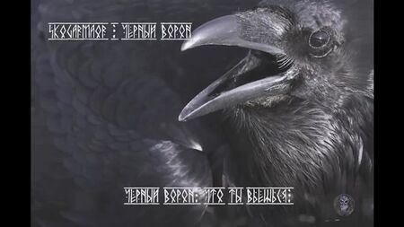 Skogarmaor - Black Raven (歌詞ビデオ)