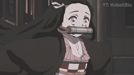 ねずこ・ラン