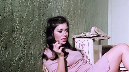 史上最高のポルノ映画66選