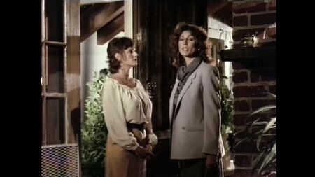『プライベート・ティーチャー』（1983年） - ケイ・パーカーほか多数出演 - 編集版